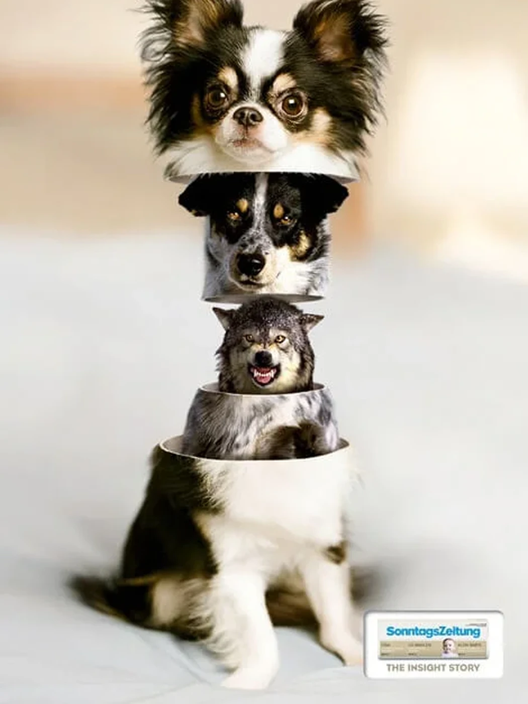 Print ad: a small dog opening to reveal further layers inside
